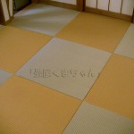 琉球畳東レ敷楽 引目織　半畳２色敷き